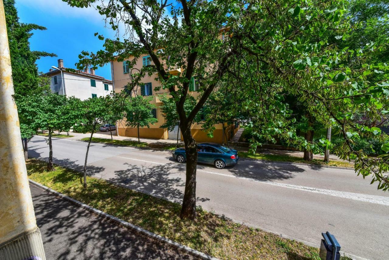Apartment Viola ซาดาร์ ภายนอก รูปภาพ