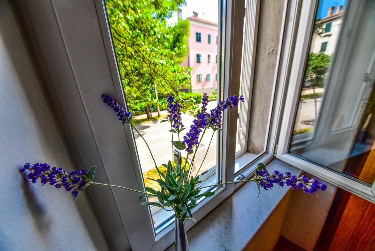 Apartment Viola ซาดาร์ ภายนอก รูปภาพ